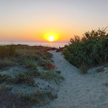 Accesso Diretto Sul Mare Maredilucecala Apartman Calambrone Kültér fotó